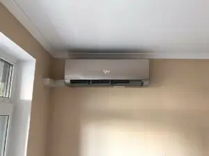 5nbstzuj80opef1wmvwnmcteigvbla01