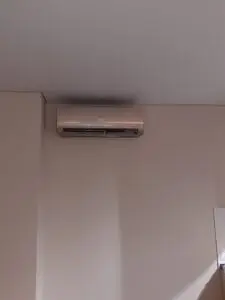 mviwwswgu9ro10fx2y0e46fcco3gg8sd